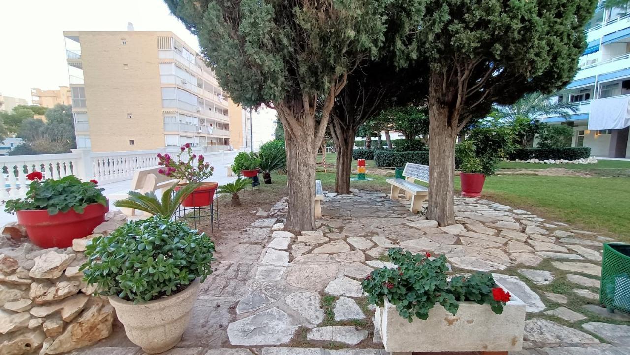 Holidays At My Spanish Grandma Alicante Eksteriør billede